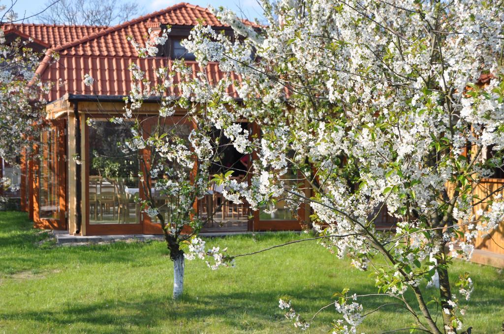 Gosciniec Gryszczeniowka & Spa Wargowo Εξωτερικό φωτογραφία